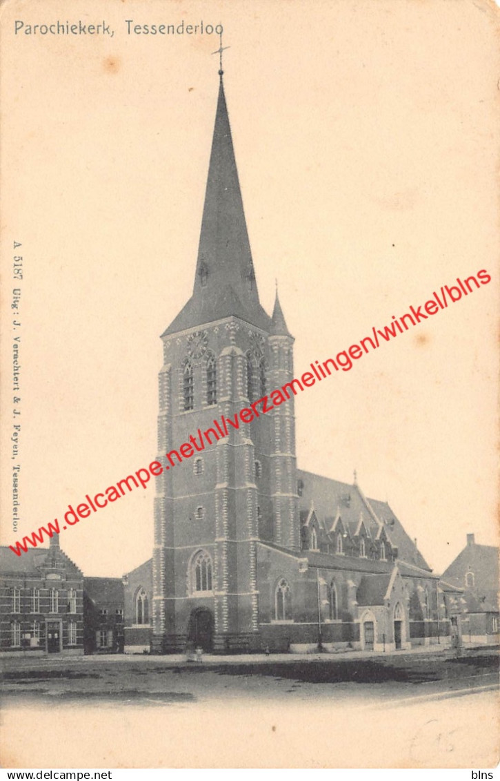 Tessenderloo - Parochiekerk - Tessenderlo