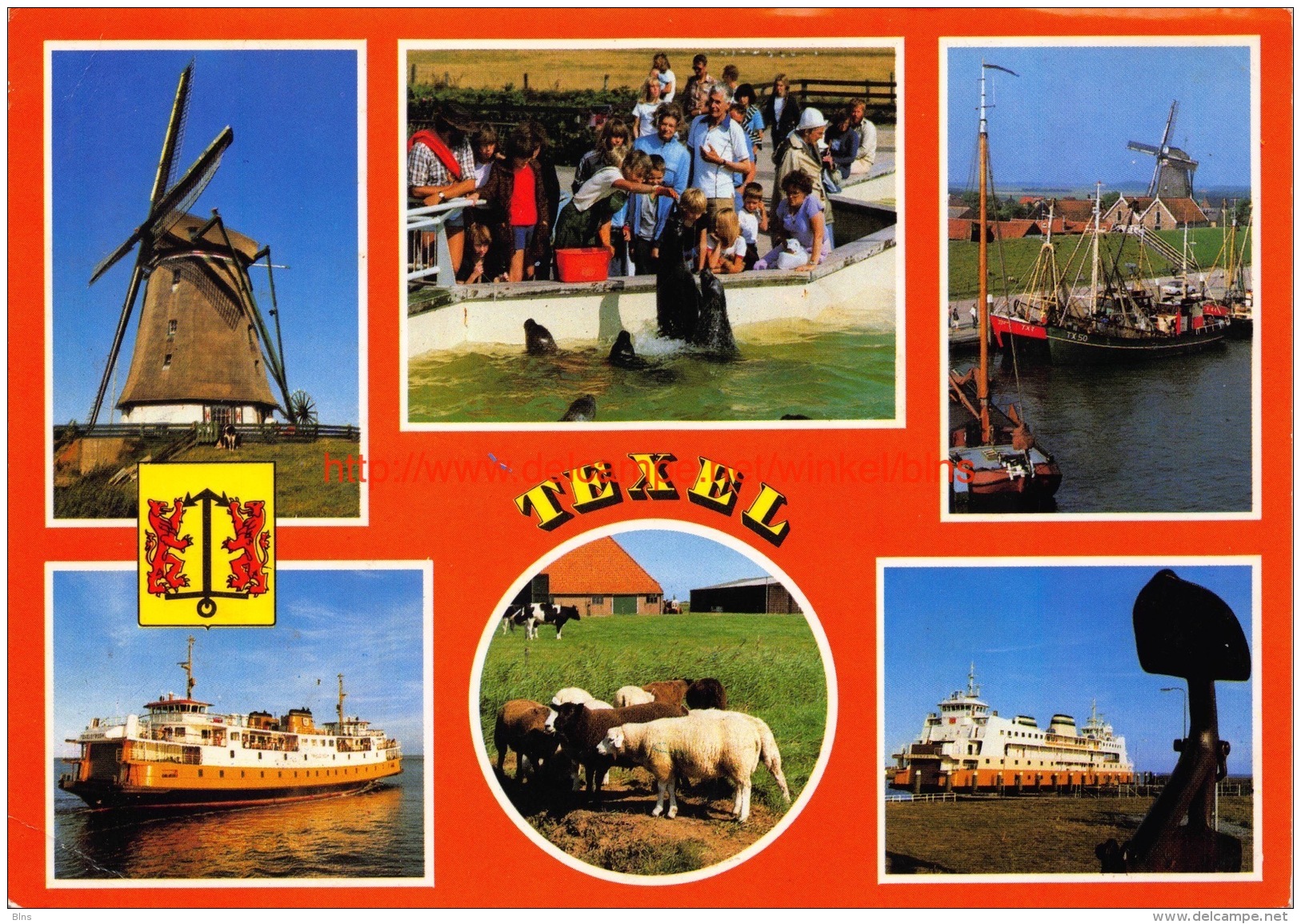 Texel