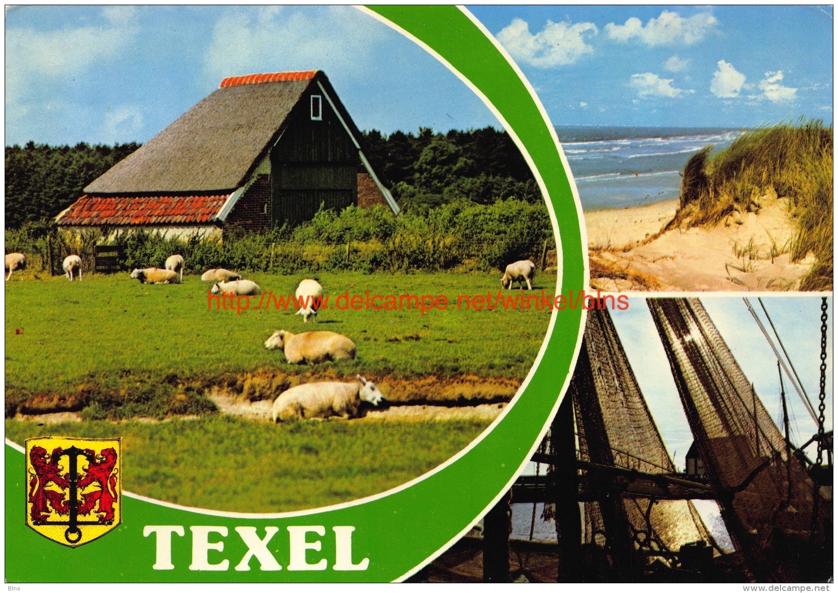 Texel