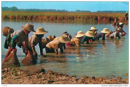 THAI farmer's fish-fishing (Phorn Thip, n° 829)