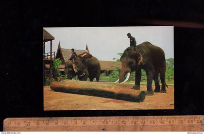 Thaïlande Thaïland  thaï elephants pushing the log elephants elephant Elefant