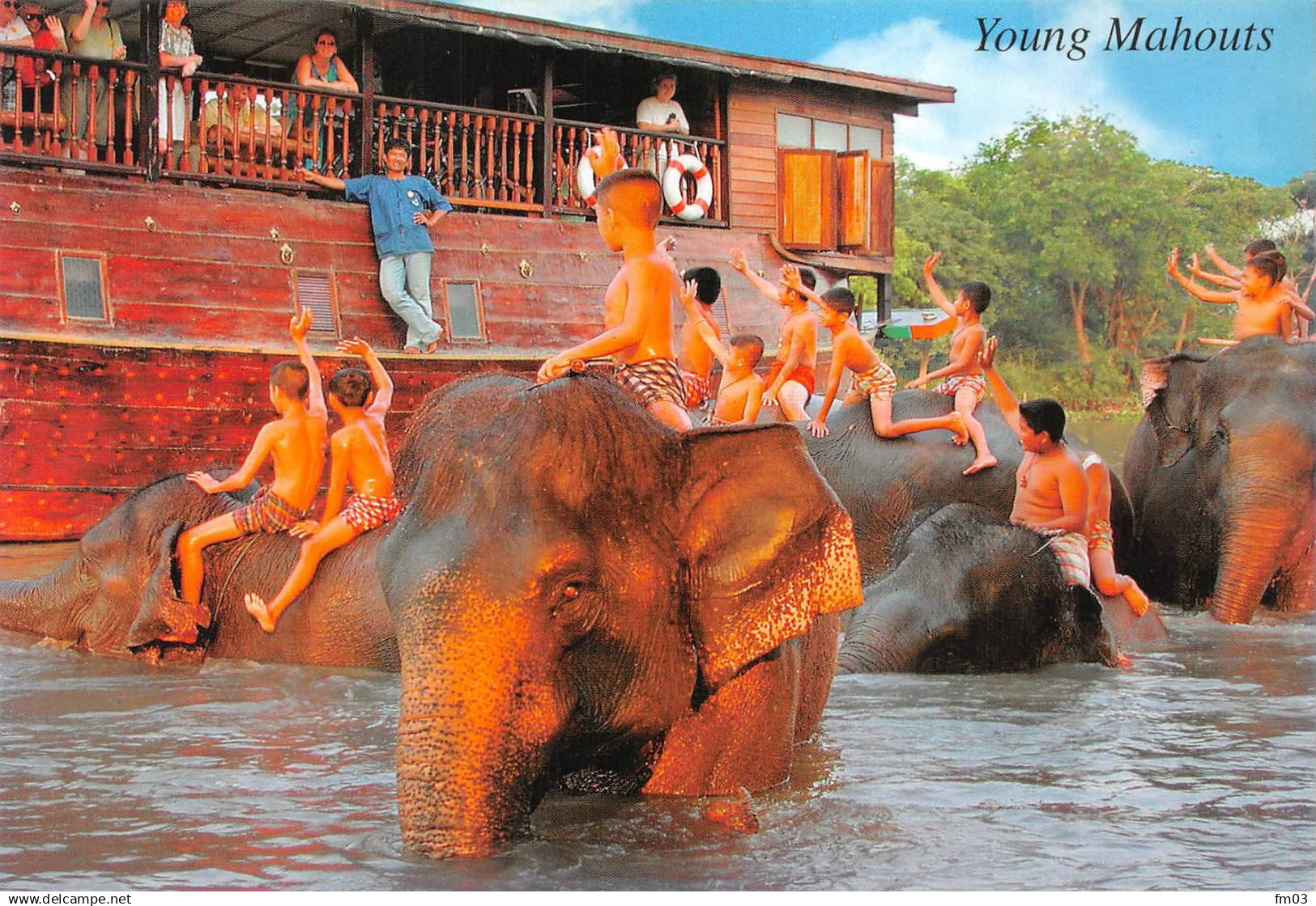 Thaïlande éléphant éléphants