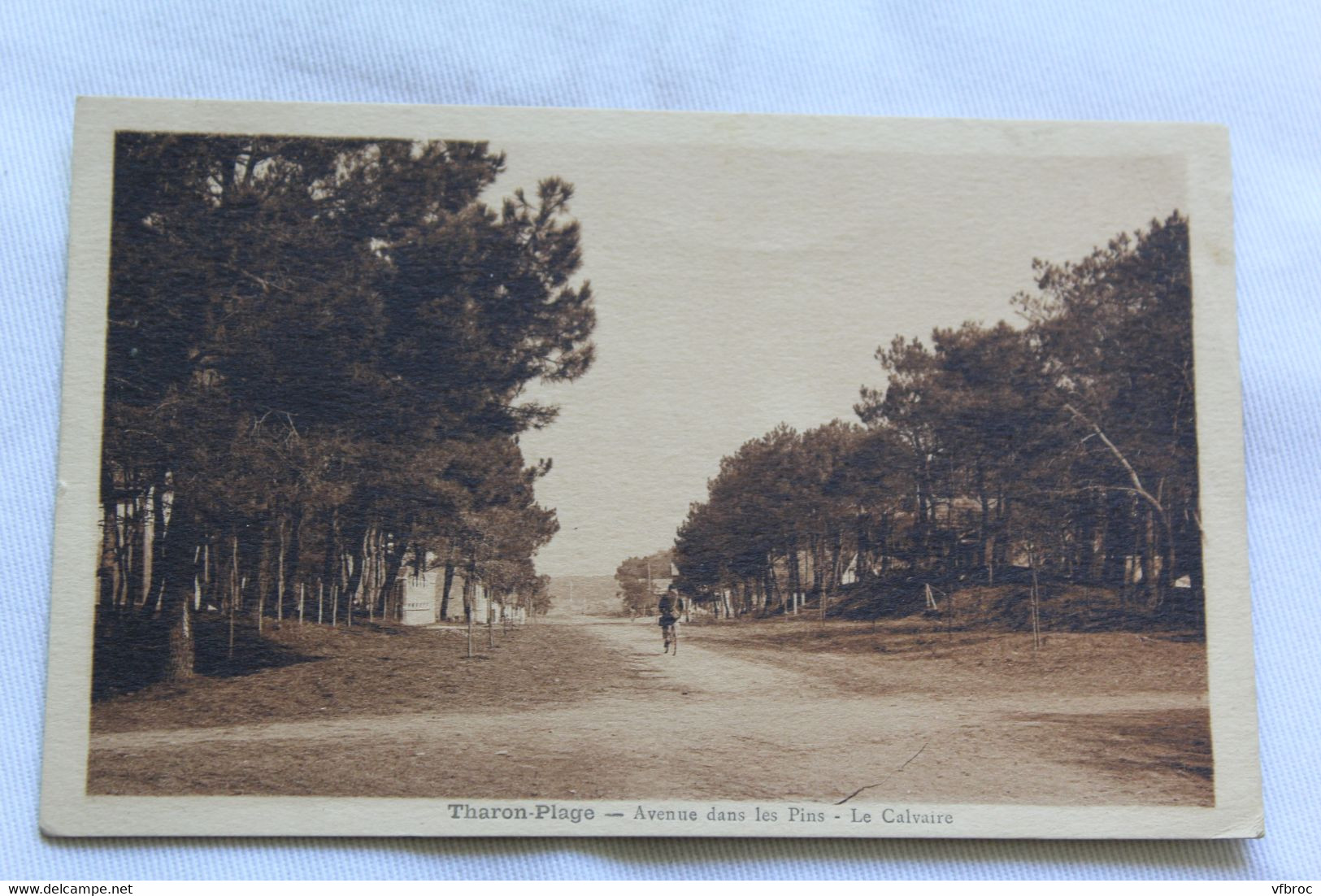 Tharon plage, avenue dans les pins, le calvaire, Loire atlantique 44