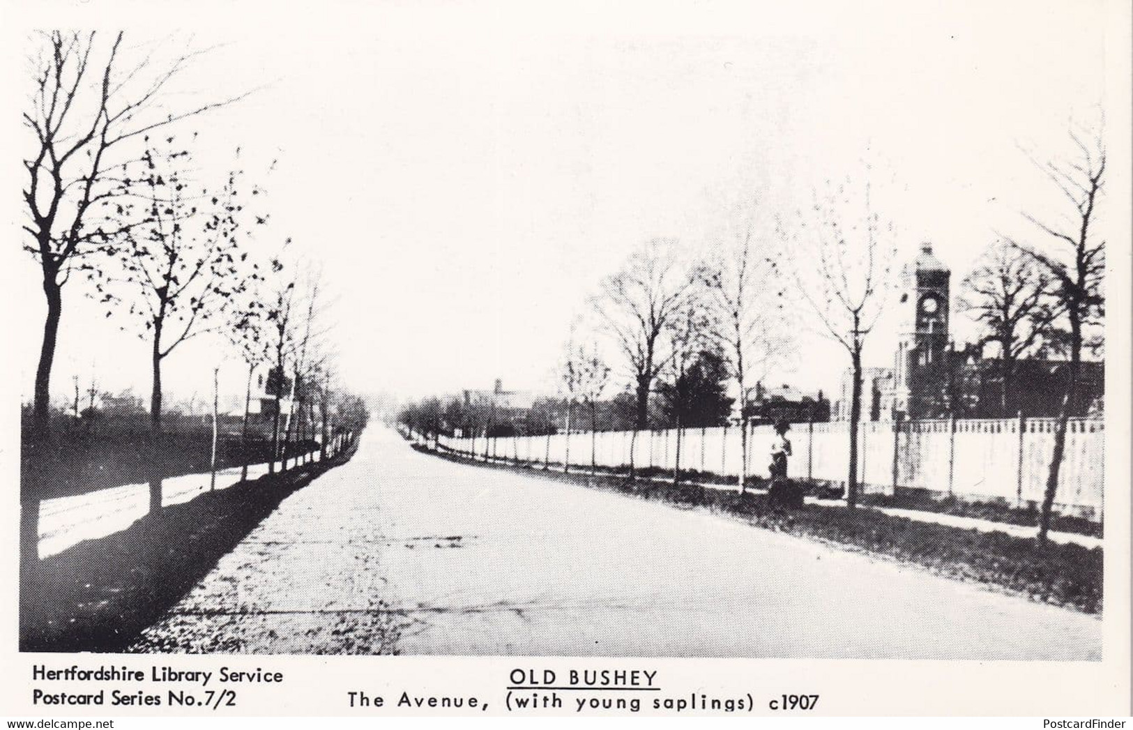 The Avenue Old Bushey Hertfordshire in 1907 Postcard