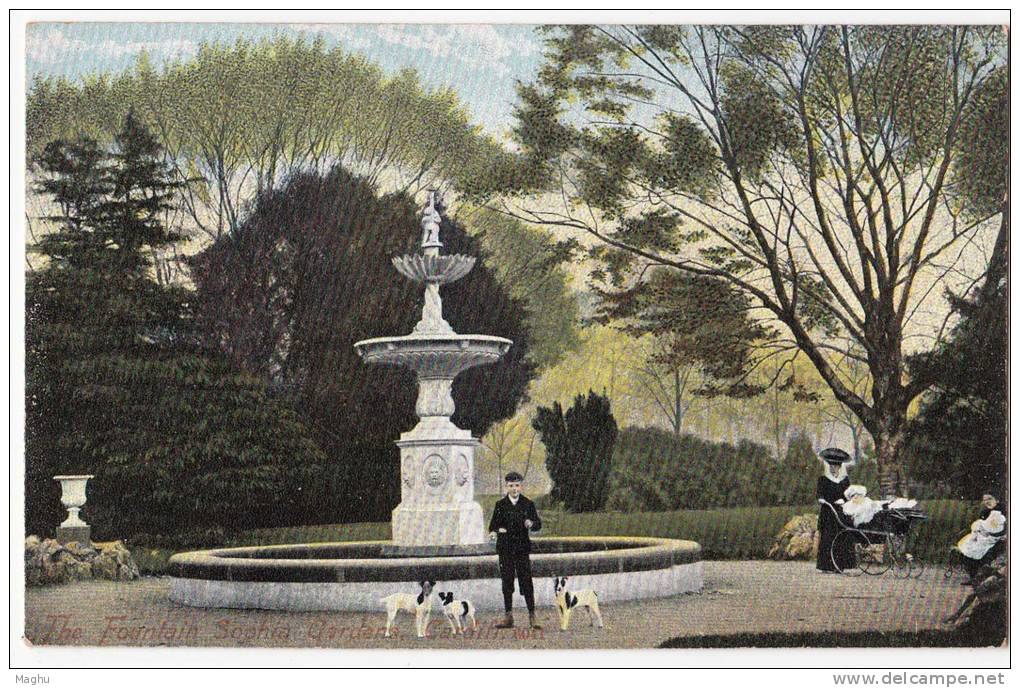 The Fountain Sophia Gardens, Cardiff, Wales, Dog / Dogs M J R Postcard