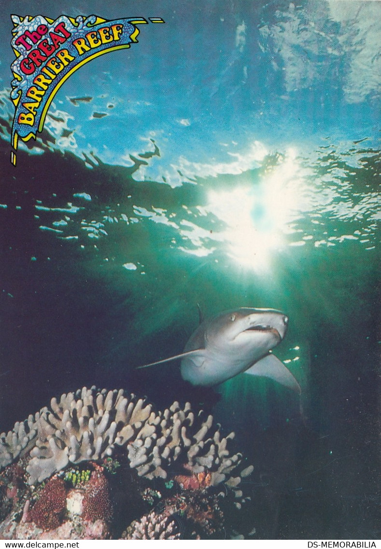 The Great Barrier Reef - The White Tipped Reef Shark 1987