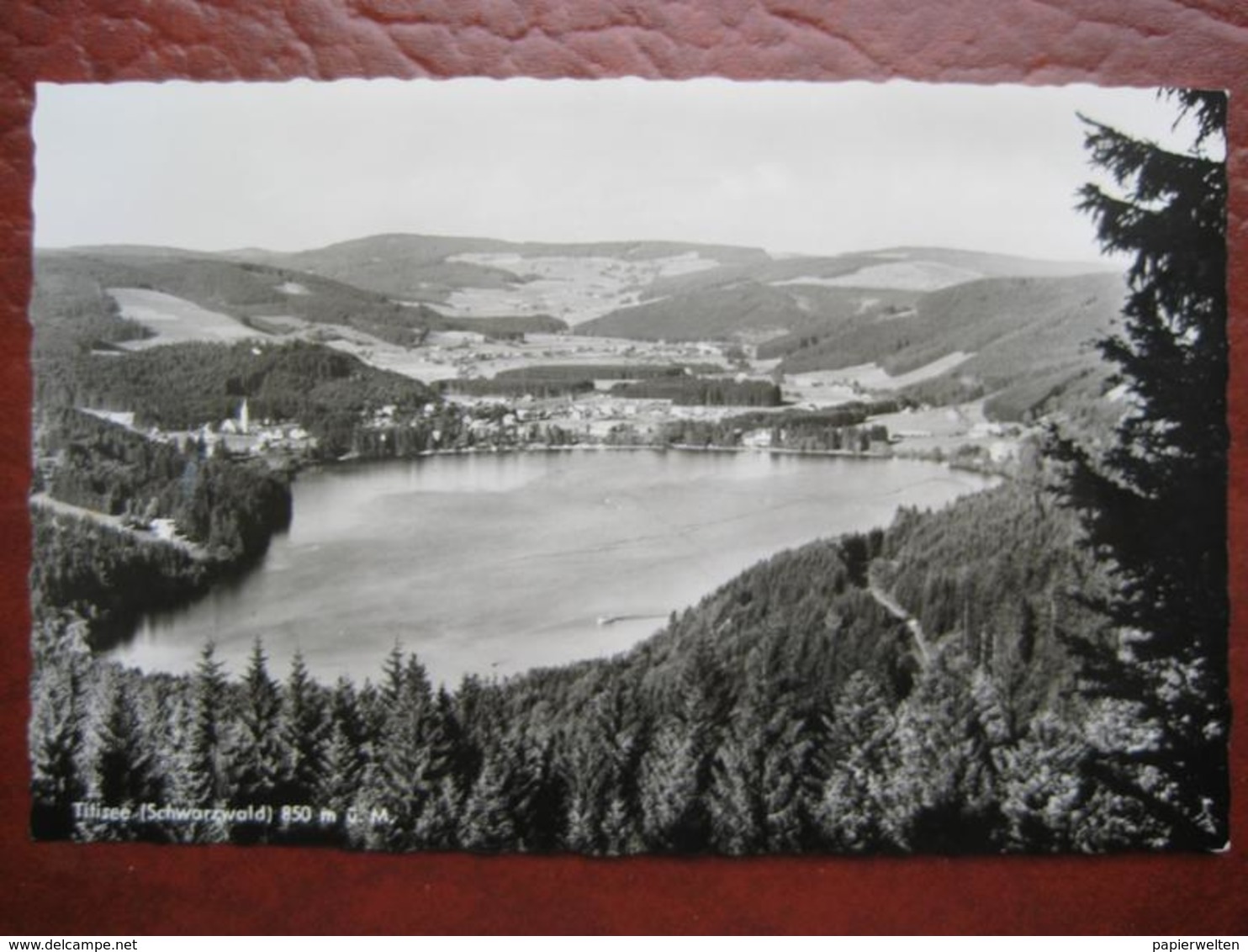 Titisee-Neustadt (Breisgau - Hochschwarzwald) - Panorama