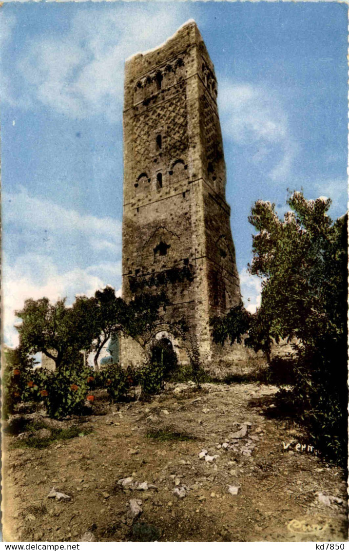 Tlemcen, La Tour de mansourah, Vieilles Ruines