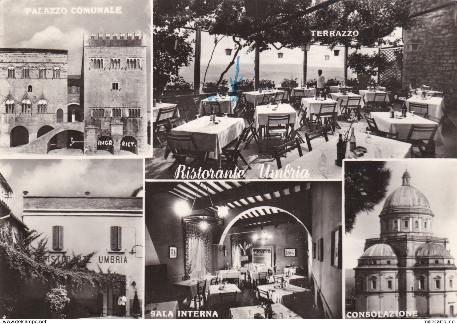 # TODI: RISTORANTE "UMBRIA" - TERRAZZA BELVEDERE - 1964