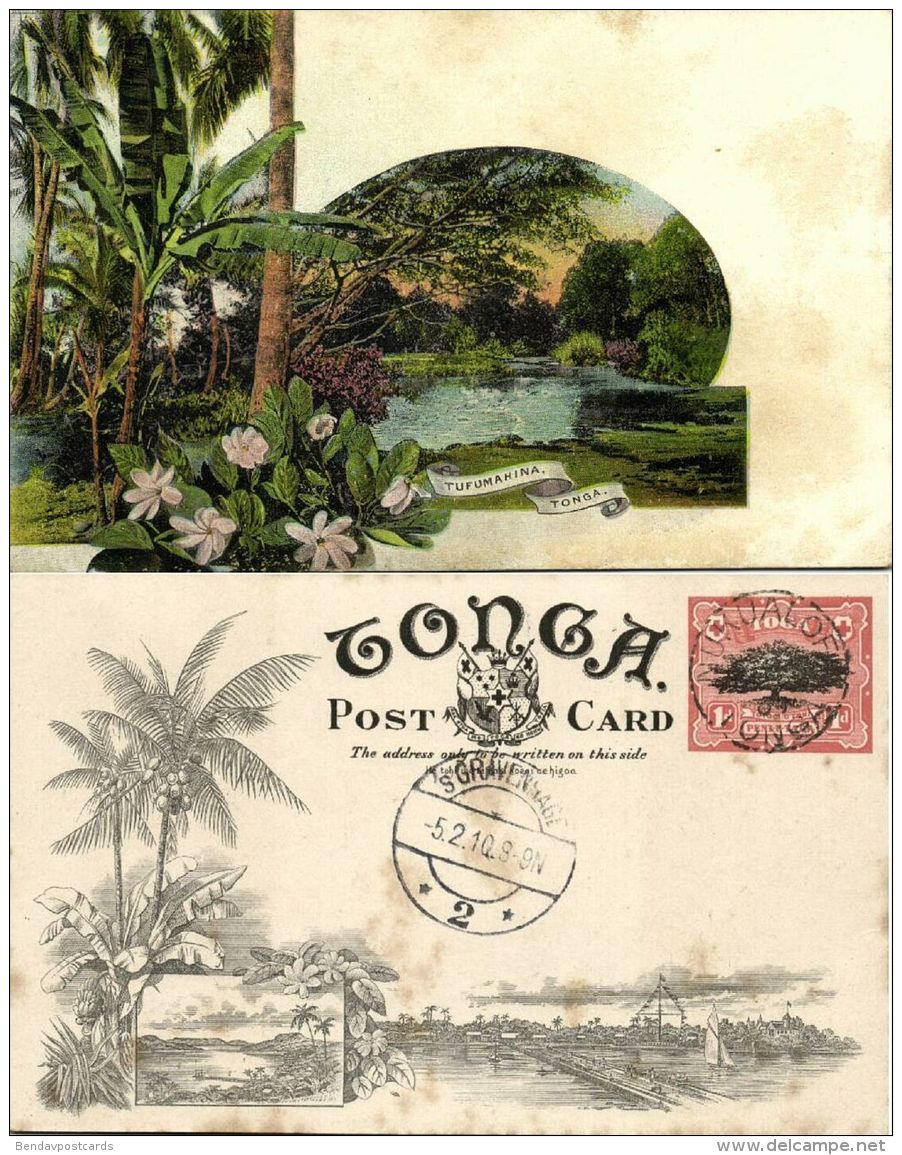 tonga islands, TAFUMAHINA, Palm Trees (1909) Pre-Printed Stamp