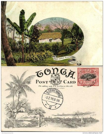 tonga islands, Pineapple Plantation (1909) Pre-Printed Stamp