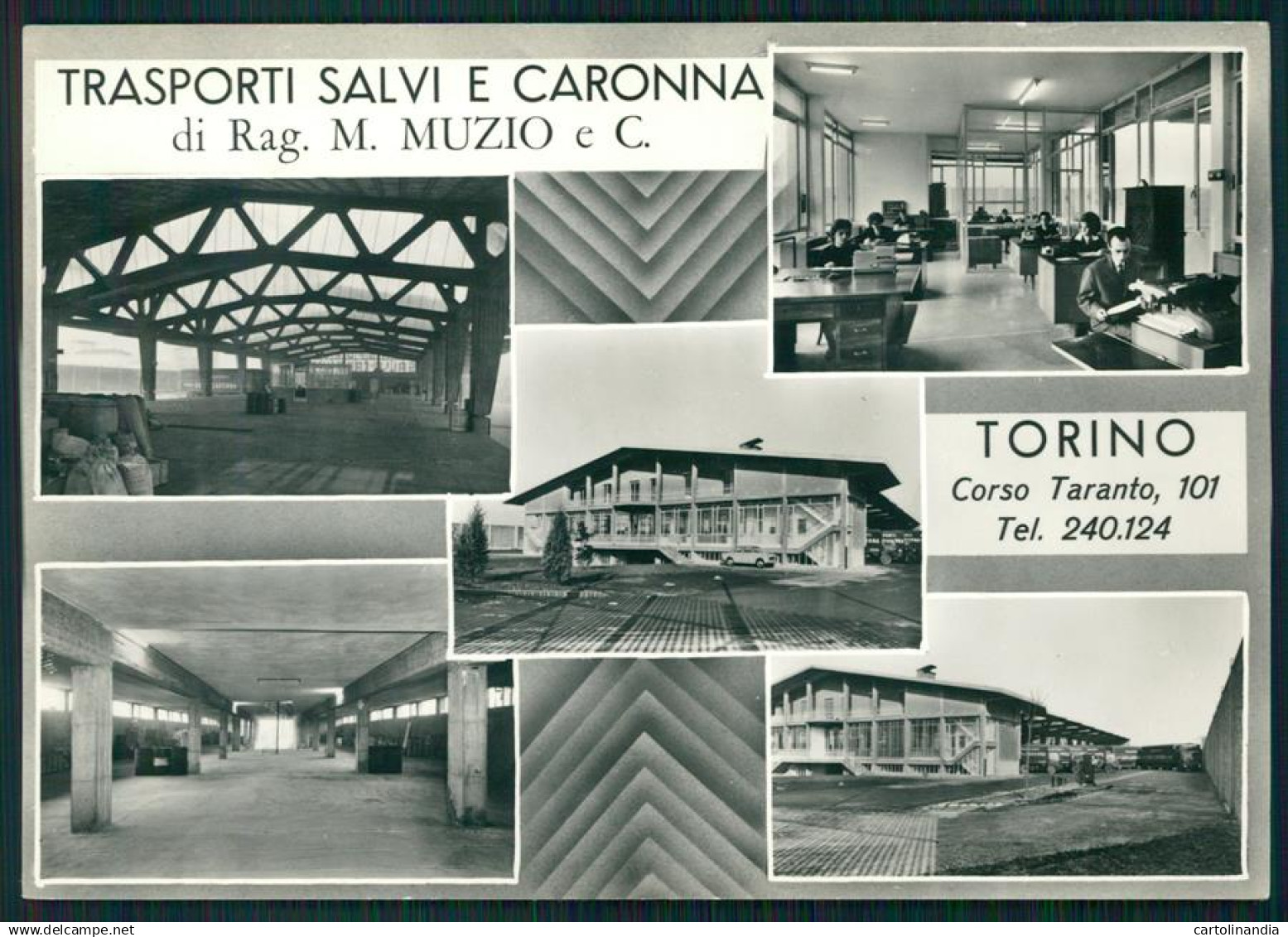 Torino città Pubblicitaria Trasporti Salvi Muzio Foto FG cartolina MZ2392