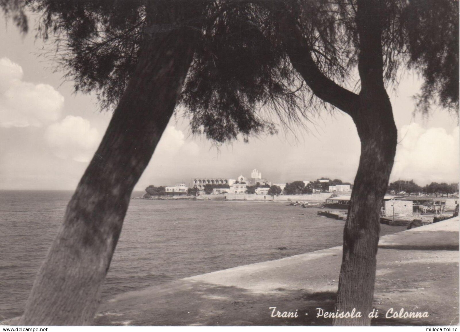 #TRANI: PENISOLA DI COLONNA