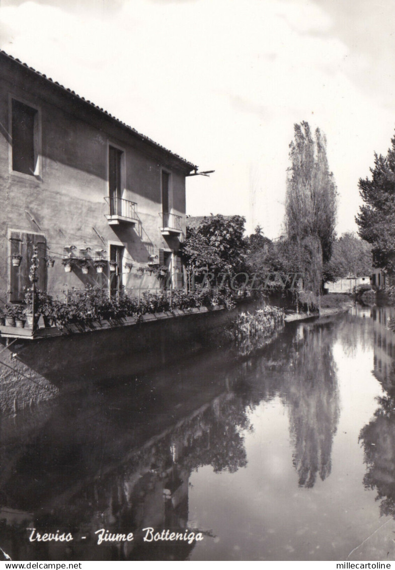 TREVISO - Fiume Botteniga 1961