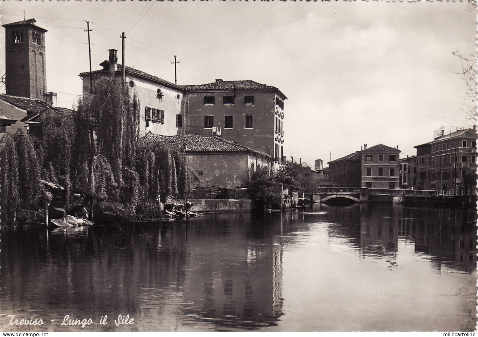 #TREVISO: LUNGO IL SILE