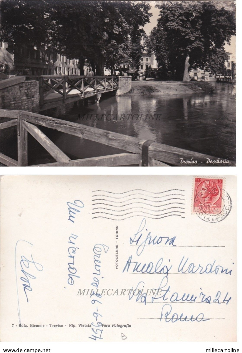 TREVISO: Pescheria   1954