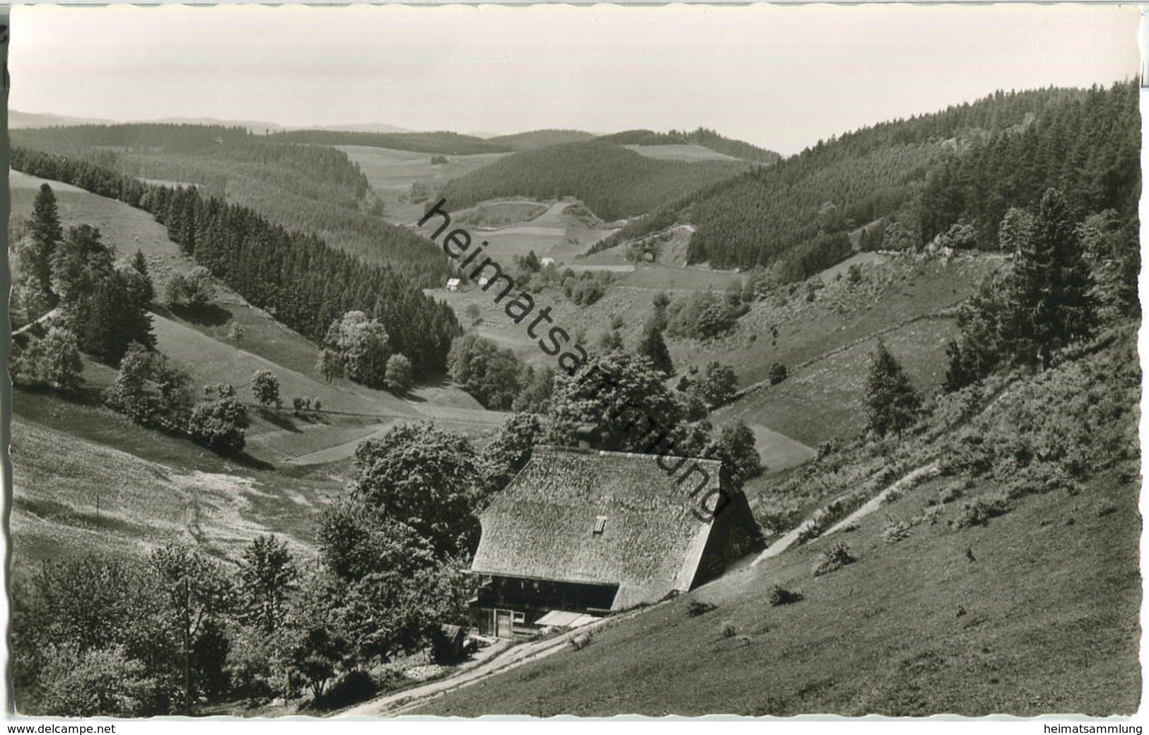 Triberg - Nußbachtal - Foto-Ansichtskarte