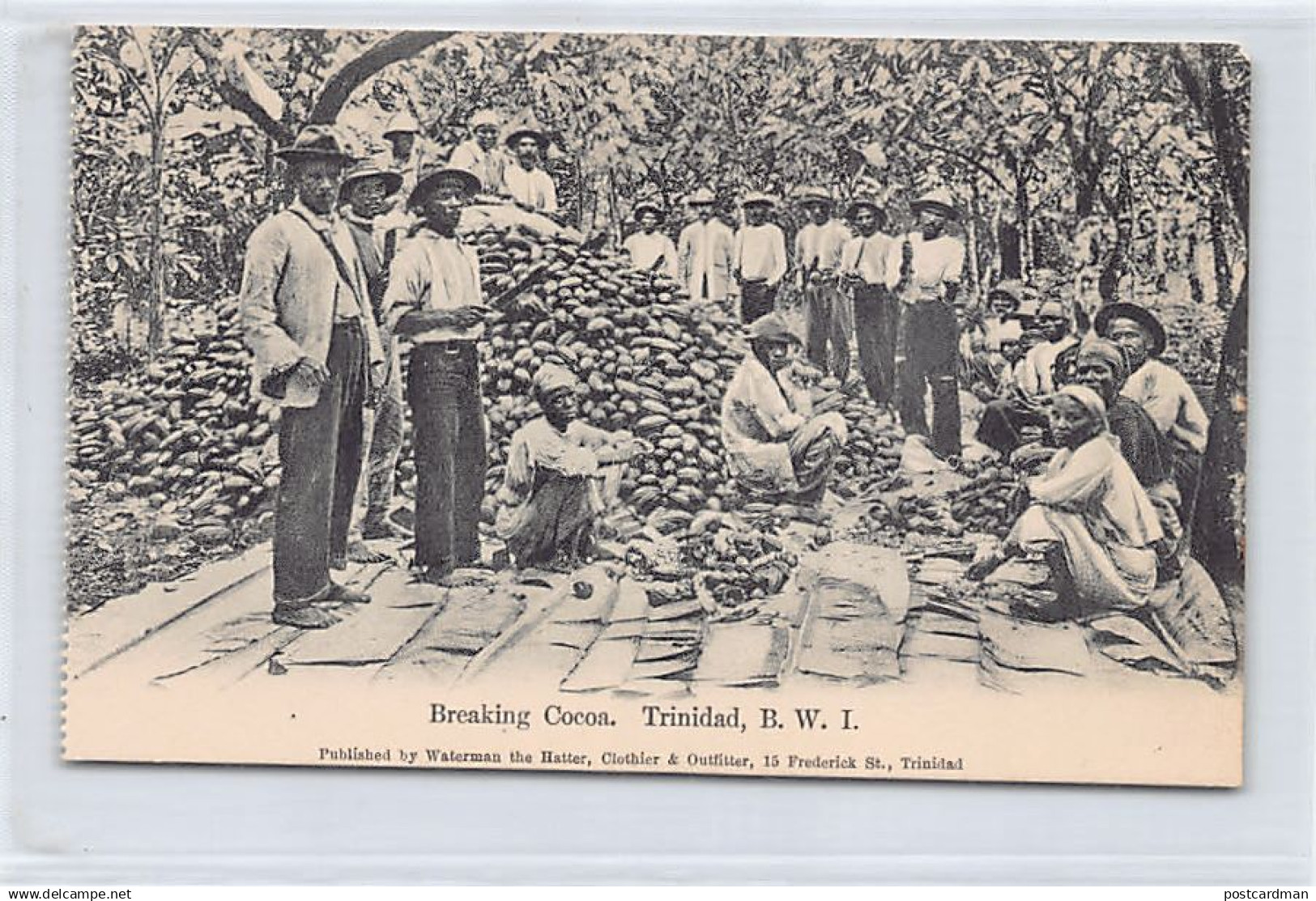 TRINIDAD - Breaking Cocoa - Publ. Waterman