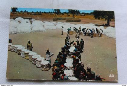 Cpm 1974, marché du coton, Tchad