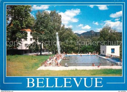 73354937 Jetrichovice Pension Bellevue