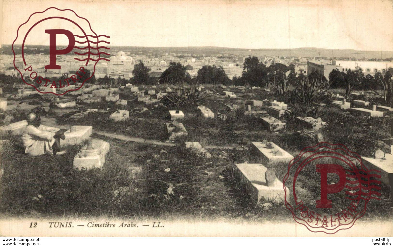 TUNEZ. Tunisie - Tunis - Cimetière Arabe