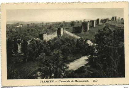 CPA AK TUNISIE TLEMCEN - L'enceinte de Mansourah (174905)