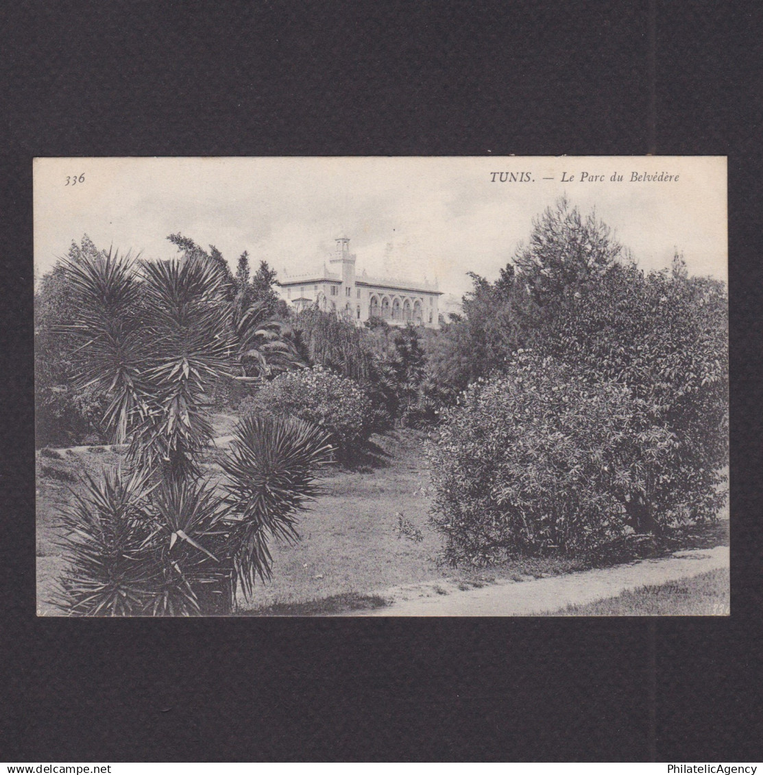 TUNISIA, Postcard, Tunis, The Belvedere Park, Unused