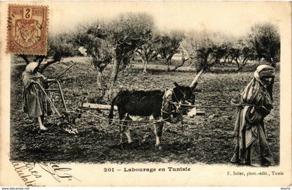 CPA AK TUNISIE Labourage en TUNISIE (239092)