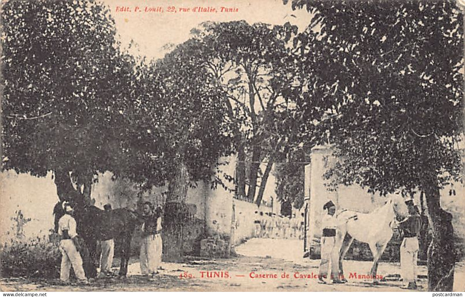 Tunisie - TUNIS - Caserne de Cavalerie à La Manouba - Ed. P. Louit 489