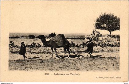 CPA AK TUNISIE 329. Labours en TUNISIE (73517)