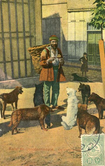 Turquie - Constantinople -Petits Métiers - Chiens