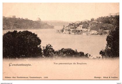 Turquie - Constantinople - Vue panoramique de Bosphore