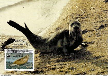 1993 - TURKMENISTAN Туркмениста́н - Caspian Seal - Phoque de la Mer Caspienne WWF