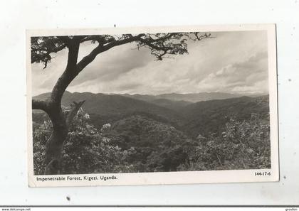 UGANDA 144-17-6 IMPENETRABLE FOREST . KIGEZI