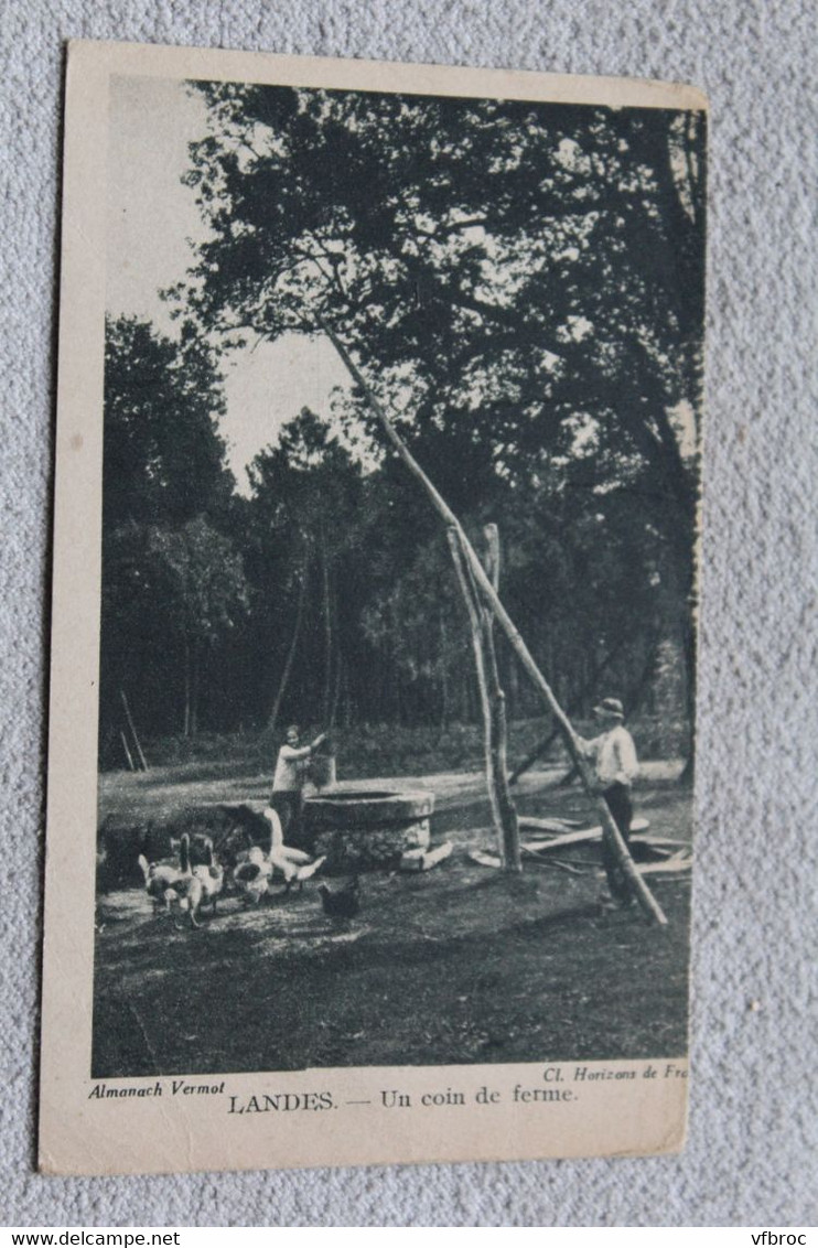 Un coin de ferme, Landes 40