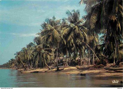 Afrique Noire - Afrique en Couleurs - 8215 - Plage de cocotiers - CPM - Voir Scans Recto-Verso