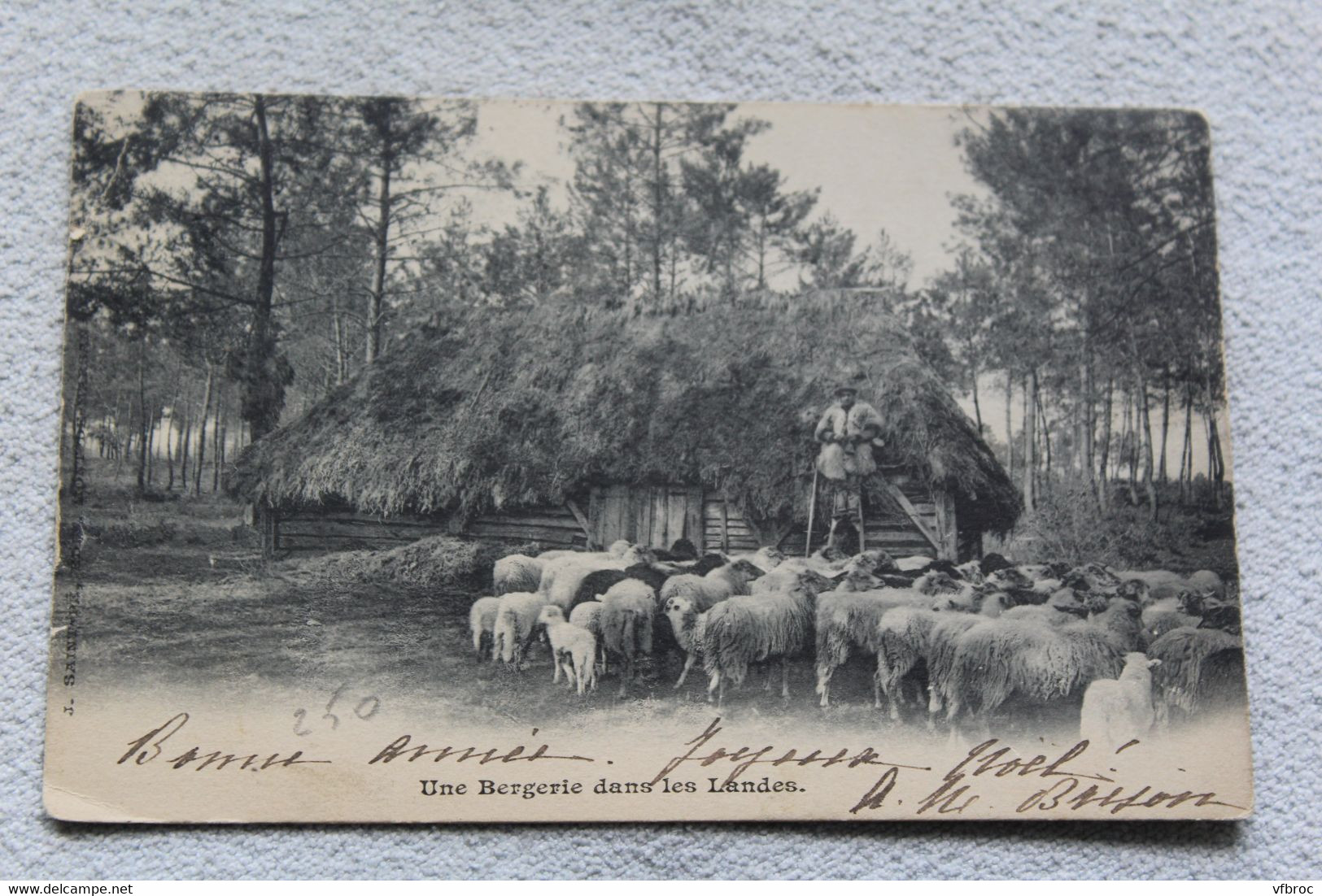 Une bergerie dans les Landes, folklore, Landes 40