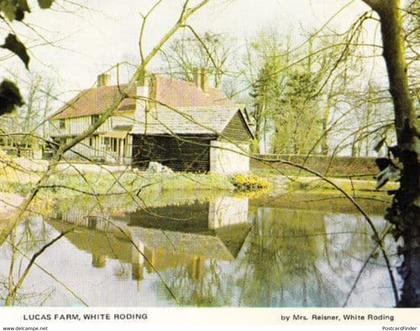 Lucas Farm White Roding Cottage Braintree Womens Institute Essex Postcard