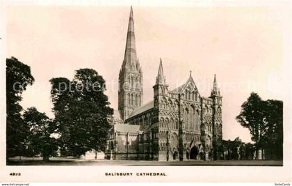 42716254 Salisbury Wiltshire Cathedral