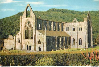 United Kingdom Wales Monmouthshire Tintern abbey