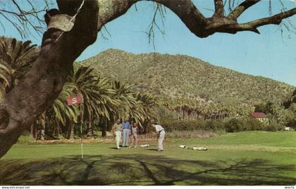 PC US, CASTLE HOT SPRINGS HOTEL, CASTLE HOT SPRINGS AZ, MODERN Postcard (b52341)