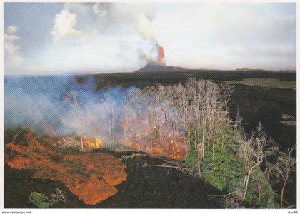 Big Island of Hawaii, Hawaii Volcanoes National Park, Kiauea's Pu'u O'o Vent in Background, c1980s Vintage Postcard