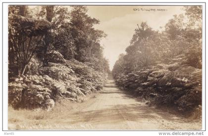 Hawaii, Road to Volcano, Big Island(?) c1910s/20s Vintage Real Photo Postcard