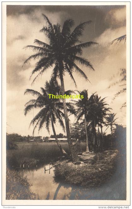 RPPC REAL PHOTO POSTCARD HAWAII ( UNUSED/ UNWRITTEN )