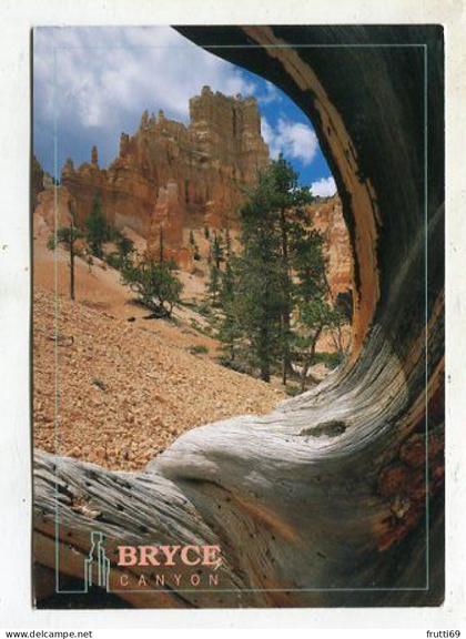 AK 135546 USA - Utah - Bryce Canyon