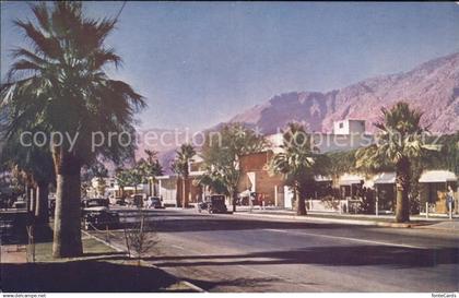 11688447 Palm Springs Street Scene