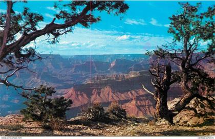 United States > AZ - Arizona > Grand Canyon