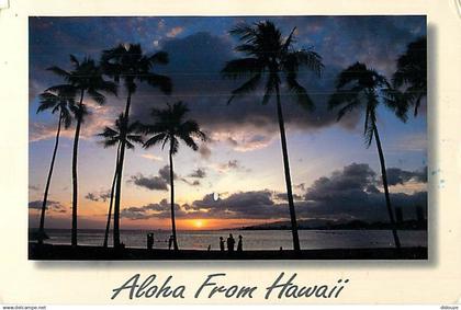 Etats Unis - Hawaï - Aloha from Hawaï - Etat de Hawaï - Hawaï State - CPM - Voir Timbre - Voir Scans Recto-Verso