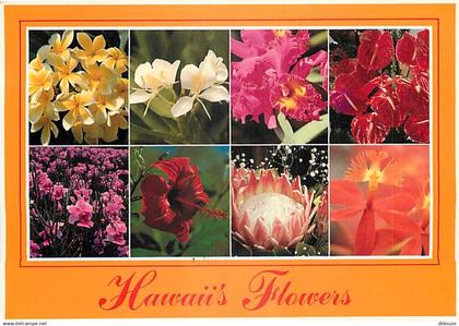 Etats Unis - Hawaï - Hawaï's flowers - Multivues - Fleurs - Etat de Hawaï - Hawaï State - CPM - Voir Timbre - Voir Scans