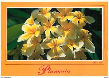 Etats Unis - Hawaï - Hawaï's flowers - Plumeria - Fleurs - Etat de Hawaï - Hawaï State - CPM - Voir Timbre - Voir Scans